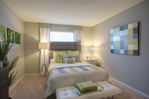 a comfortable bedroom with plush carpet, a window, and model furnishings