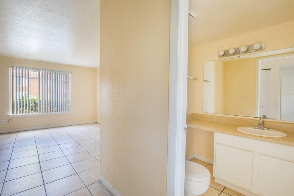 a bathroom with a toilet and a sink and a mirror