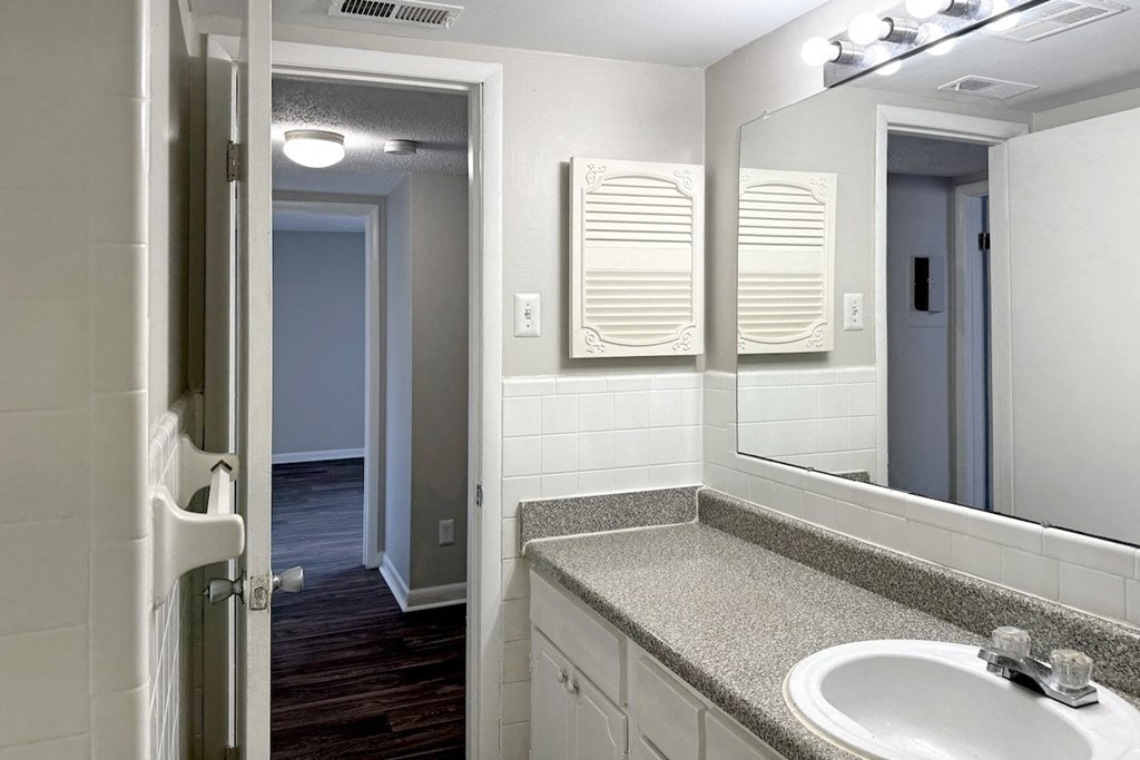 a bathroom with a sink and a mirror a bathroom with a sink and a mirror at Spring Lake Cove Apartments, Birmingham