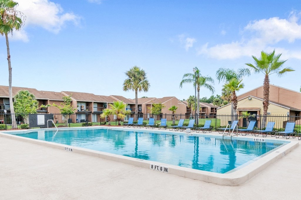 a swimming pool, sundeck, and lots of lounge chairs surrounded by tall palm trees