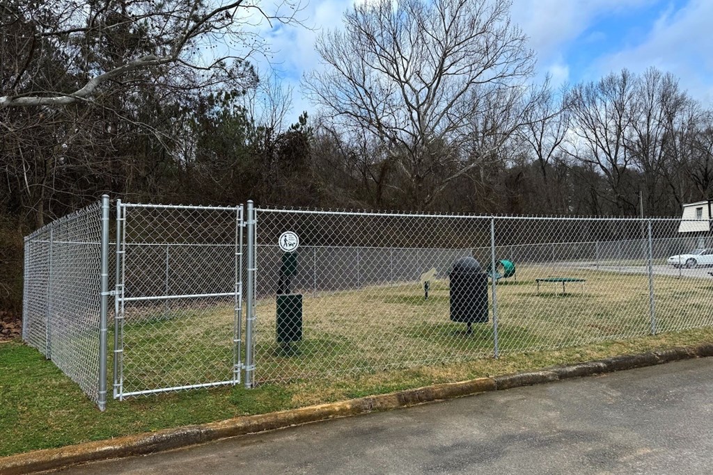 A silver chain link fence surrounds a green trash can and a green bench.