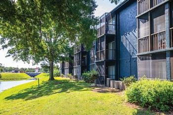 3997 Rosewood Way 1 Bed Apartment for Rent - Photo Gallery 3