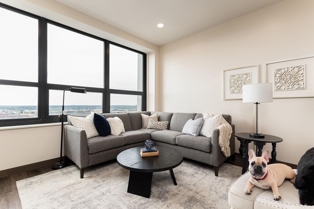 A living room with a grey couch, a black table, and a dog.