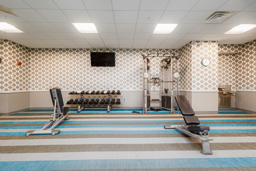 A gym with a row of dumbbells and a bench press.