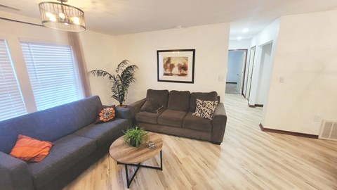 A living room with a grey couch and a brown couch with pillows.