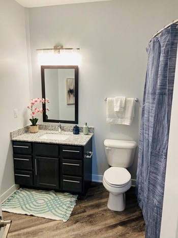 Luxurious Bathrooms Luxurious Bathrooms at River Point West Apartments, Elkhart, Indiana - Photo Gallery 4
