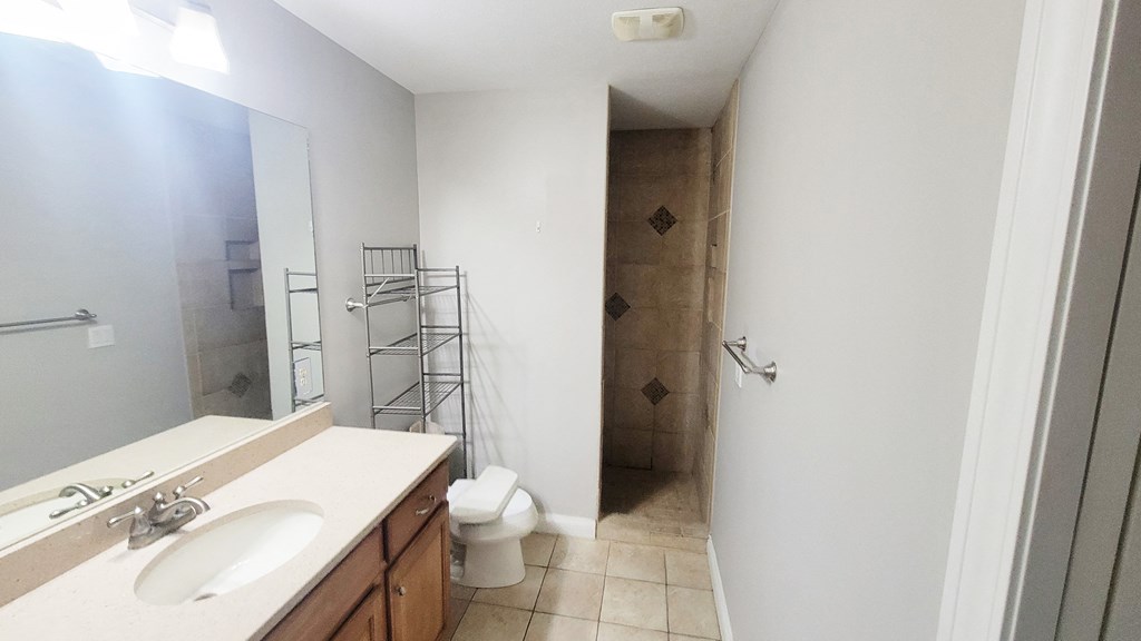 A bathroom with a sink, mirror, and toilet.