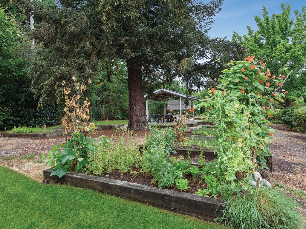 Lush green exterior at Lakewood Meadows in Lakewood, WA
