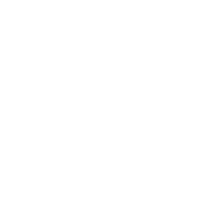 1900 Parmer Logo