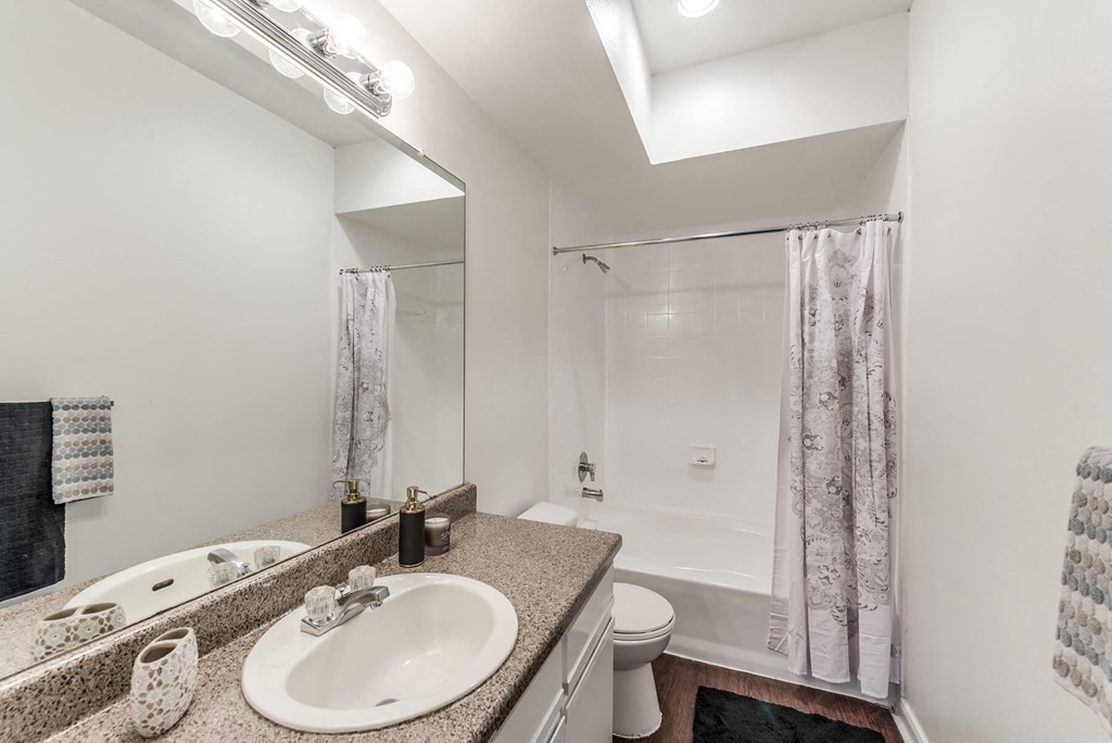 Bathroom counter at Hollow Creek in Conroe TX