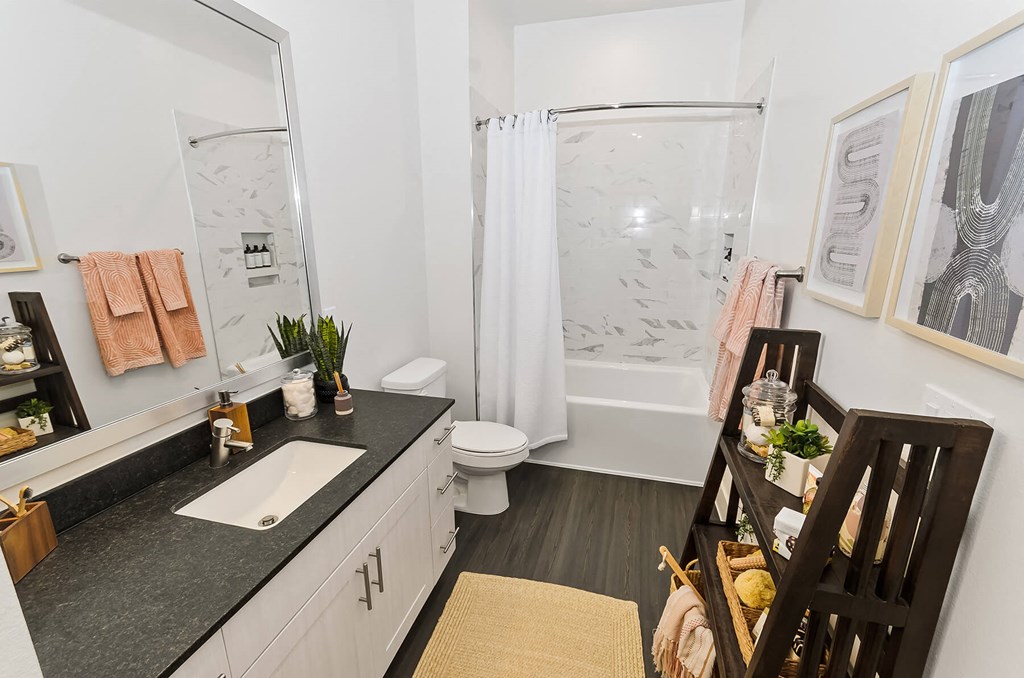 Bathroom with shower tub at Opal Legacy Central in Plano TX