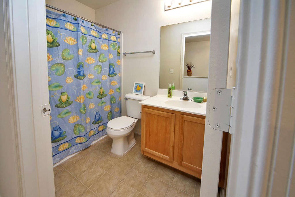 Bathroom at Broadwater Townhomes in Chester, VA