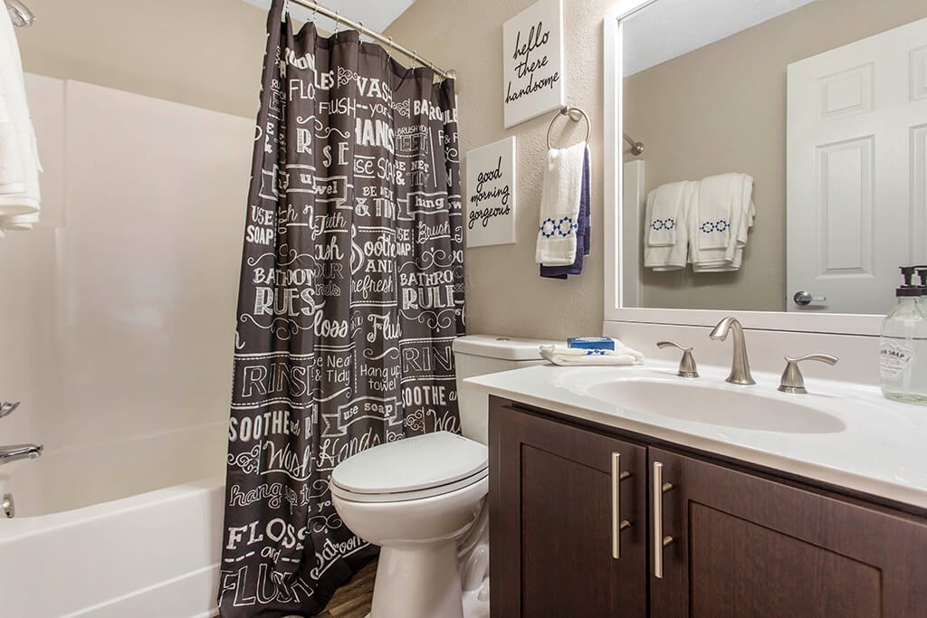 Bathroom at Cobalt Springs Apartment Homes in Taylors SC