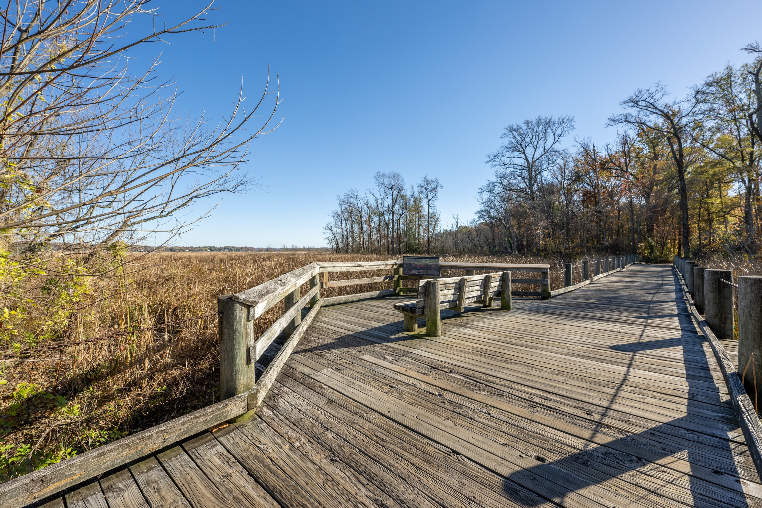 The Belhaven Apartments