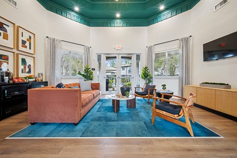 A living room with a blue rug and a brown couch.