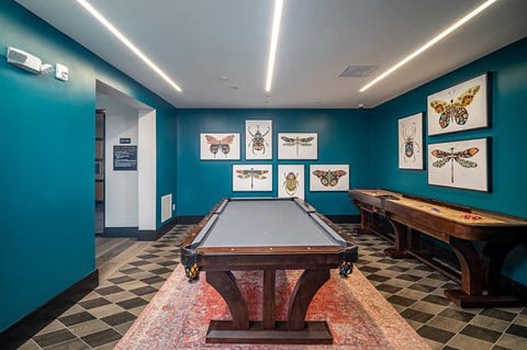 Clubroom billiards table and shuffleboard at The Belhaven in Alexandria VA