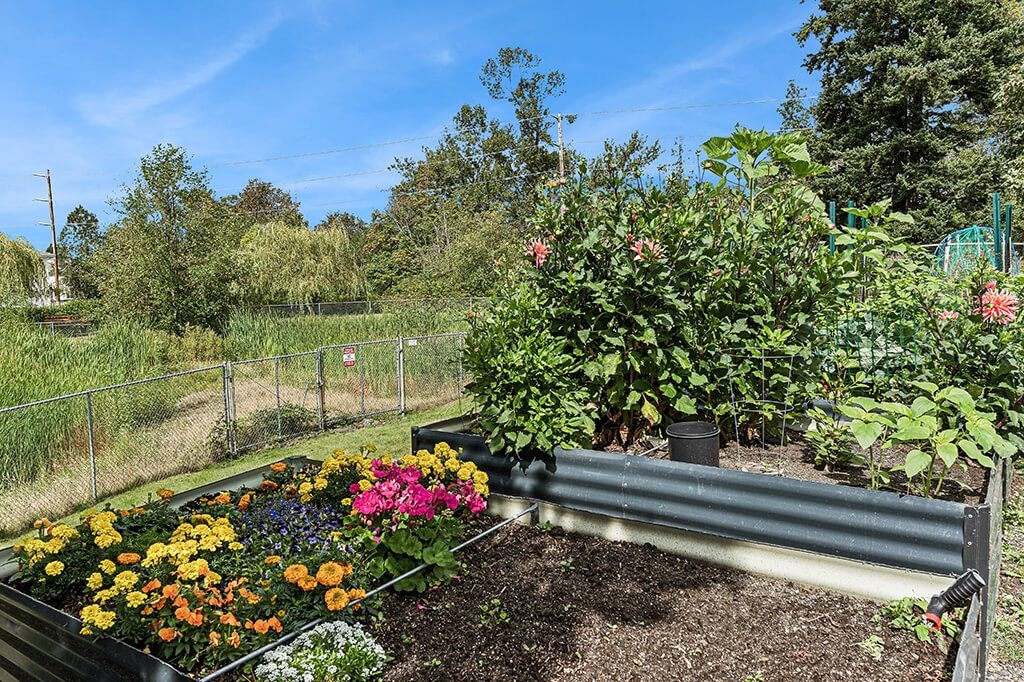 Community garden at Woodrose Senior Affordable Apartments in Bellingham WA