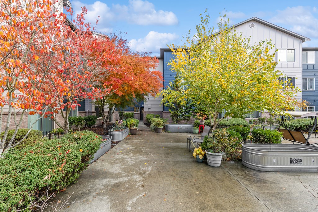 Courtyard at Alderwood Court in Lynnwood WA
