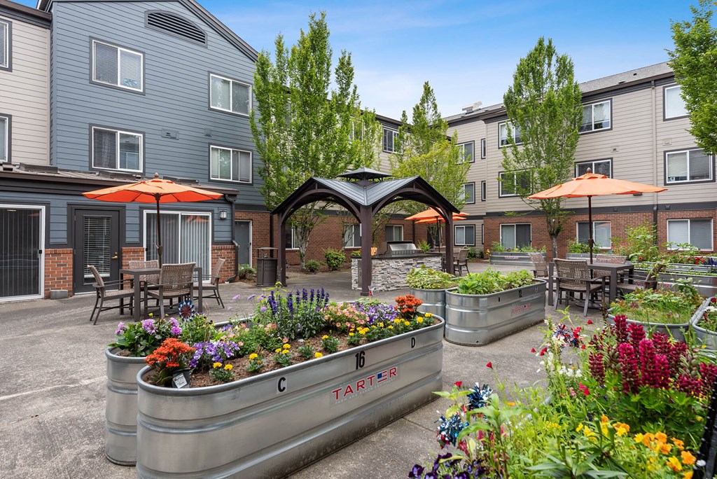 Senior Apartments In Federal Way - Renovated Courtyard With Community Garden Planters. There Is Plenty Of Seating And Tables Available