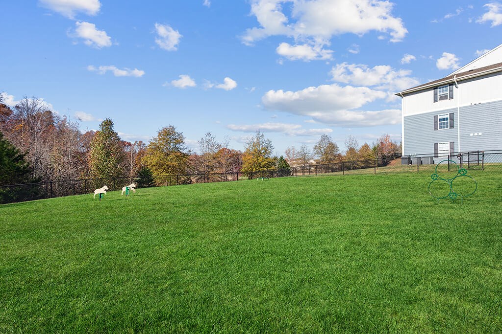 Dog park at England Run North in Fredericksburg VA