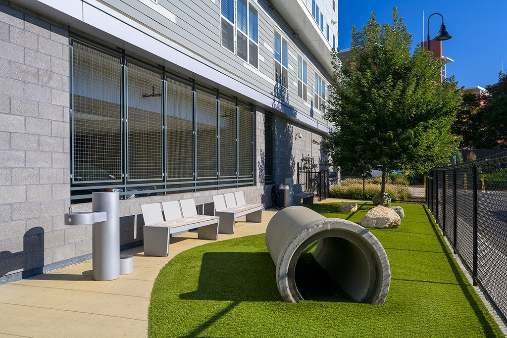 Dog Park at Vero Apartments in Chelsea MA