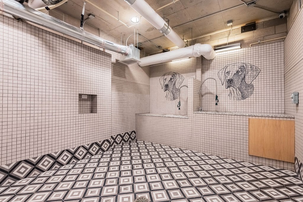 Dog Spa at Opal Legacy Central in Plano Texas