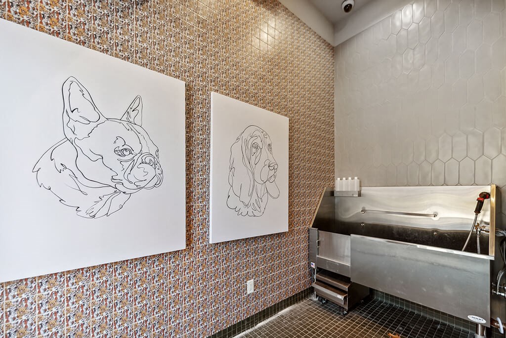Dog Wash at The Quill Apartments in Milford, MA