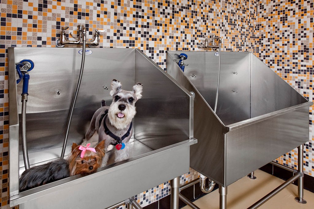 Dog Wash at Westerchester at the Pavillions in Waldorf MD