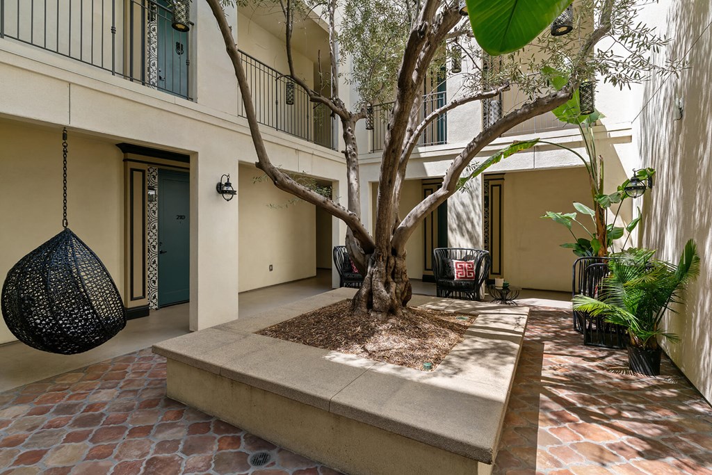 Exterior Courtyard The Wishing Tree Wi Fi Courtyard