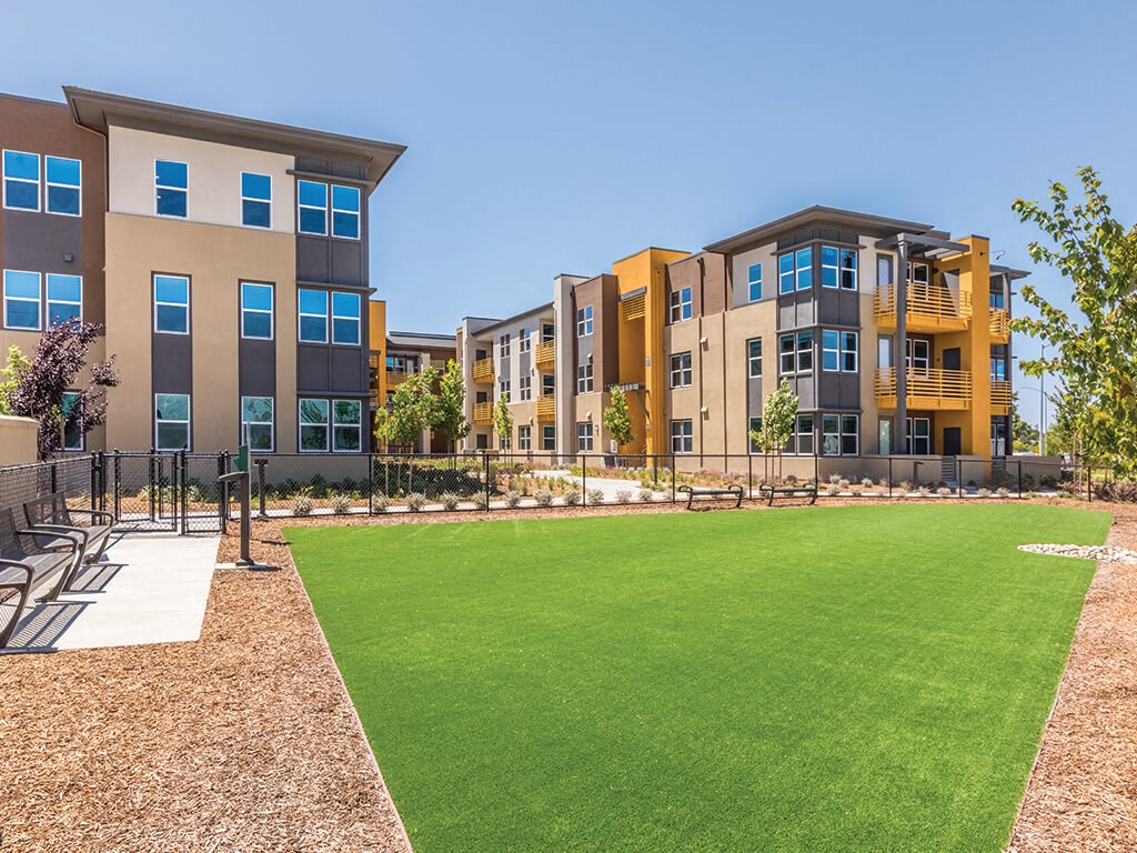 outdoor dog park at The Braydon Apartments in Napa CA