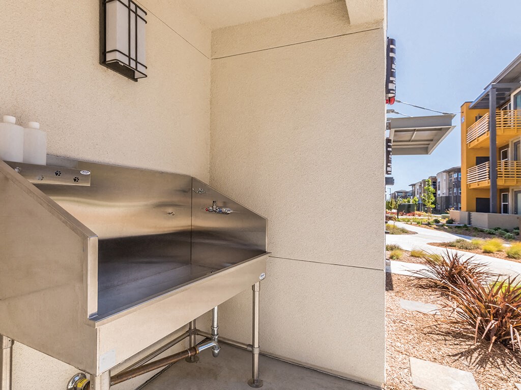 outdoor dog wash at The Braydon Apartments in Napa CA