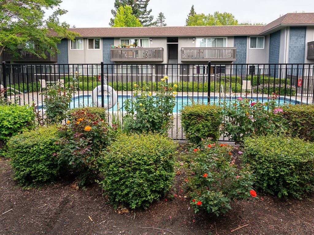 Exterior Landscap and Pool at Wyndover Apartment Homes in Novato CA