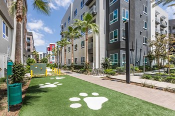 Exterior Pet Park Paw Spot at Aura Apartment Homes in Orange CA - Photo Gallery 46