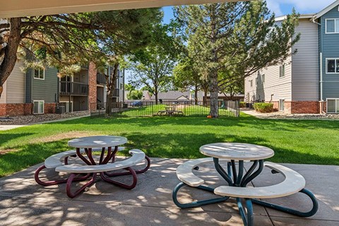 Picnic area at Rock Peak on Sunset Apartments in Longmont CO
