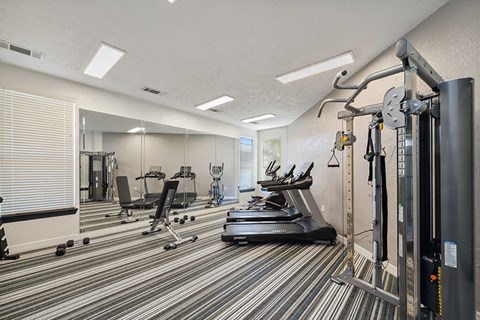 Fitness Center weights at Tivoli apartments in Dallas TX