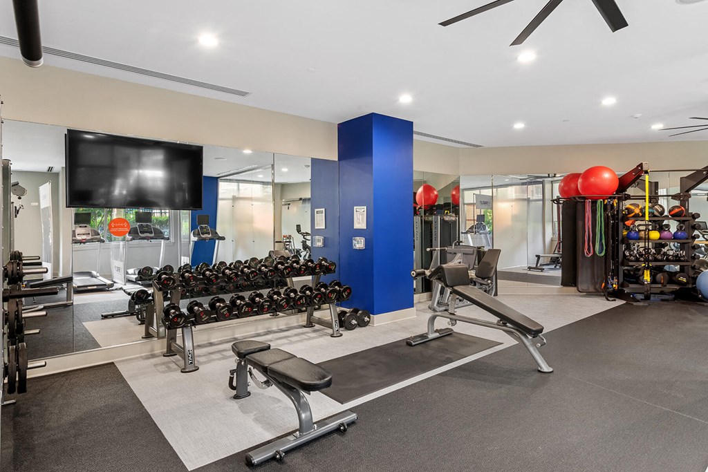 Fitness center weights at Bradley Braddock Road Station Apartments in Alexandria VA