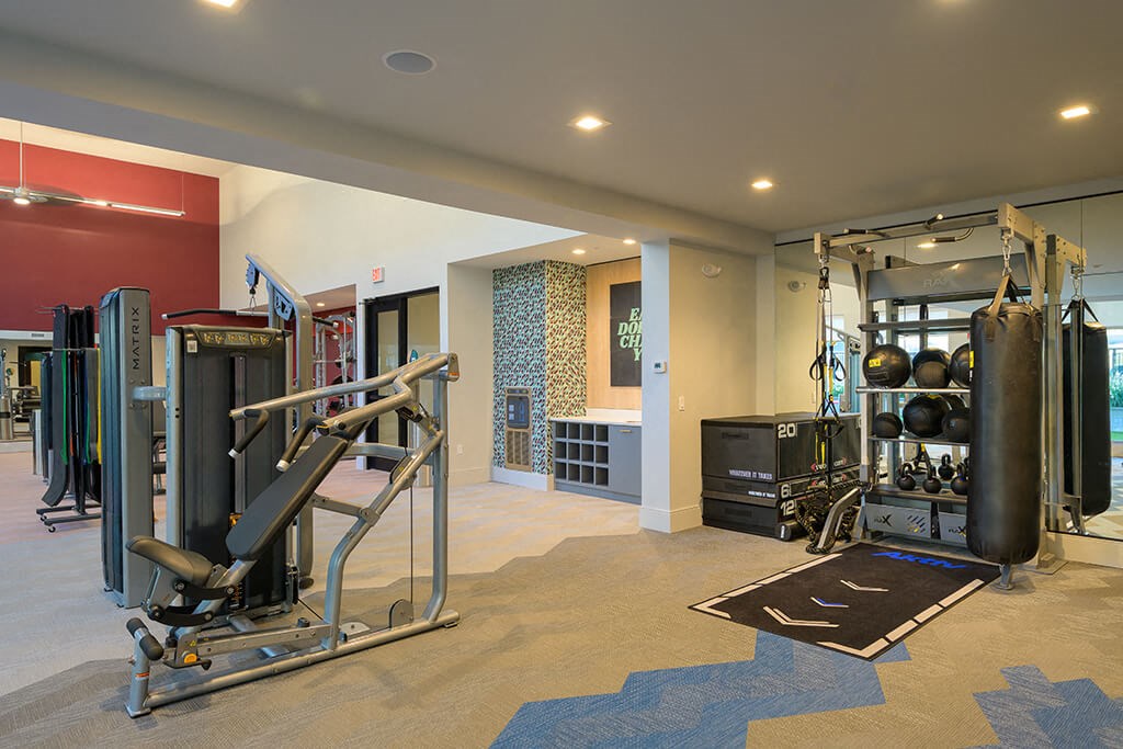 the gym in the home is stocked with weights and cardio equipment