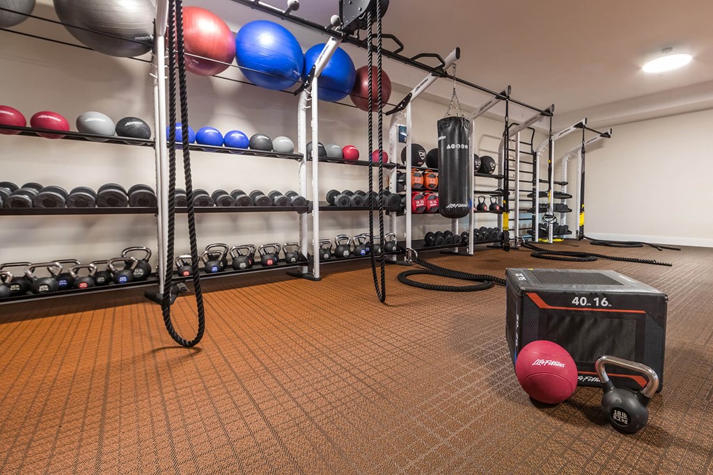 Fitness Center Free Weights at Aspect at Totem Lake Apartments in Kirkland WA
