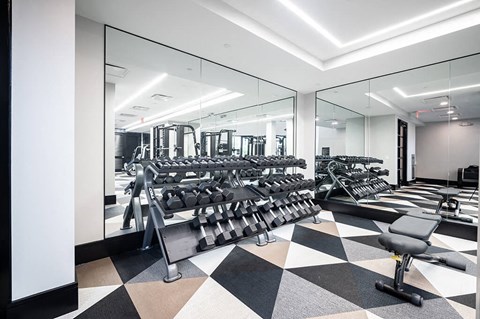 a fully equipped gym with cardio machines and weights at The Belhaven in Alexandria VA