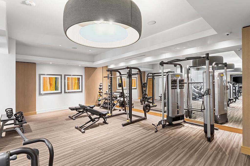 Fitness Center Strength equipment at Cirro King of Prussia Apartments in King of Prussia, PA
