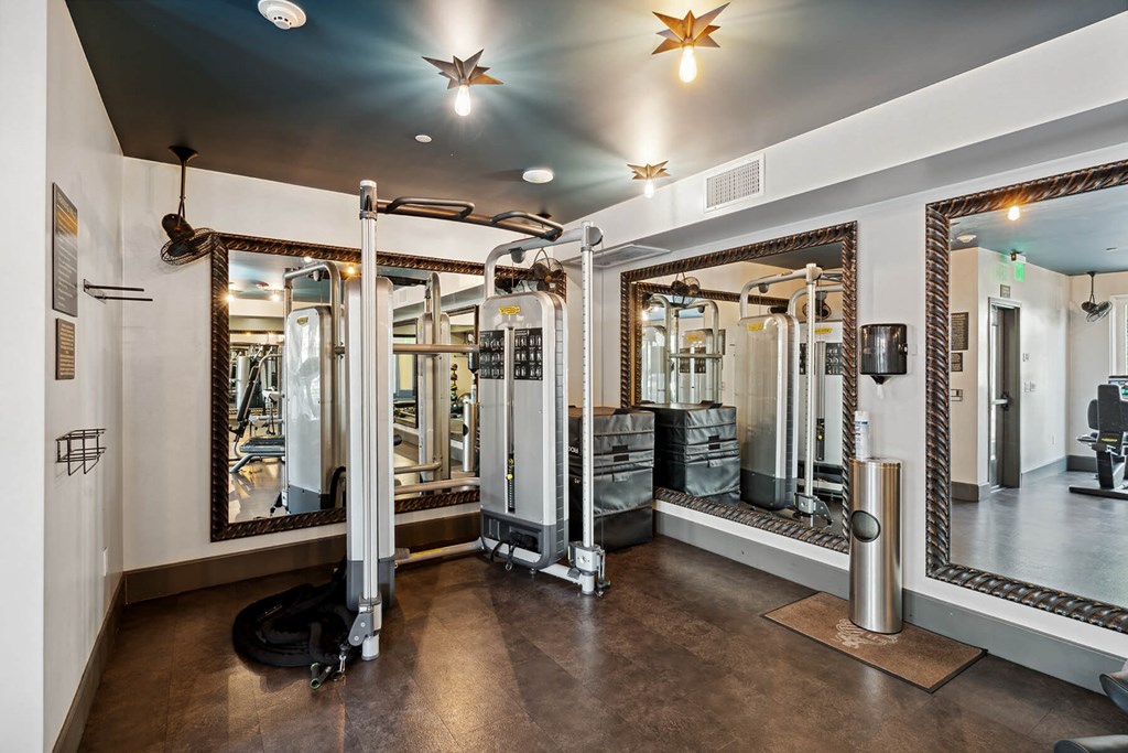 Fitness Center Training Vault Cross Training Equipment