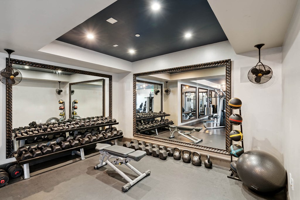 Fitness Center Training Vault Free Weights