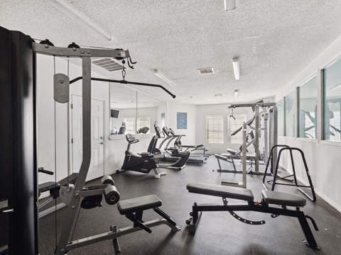 Fitness center at Forest Creek Apartments in Houston TX
