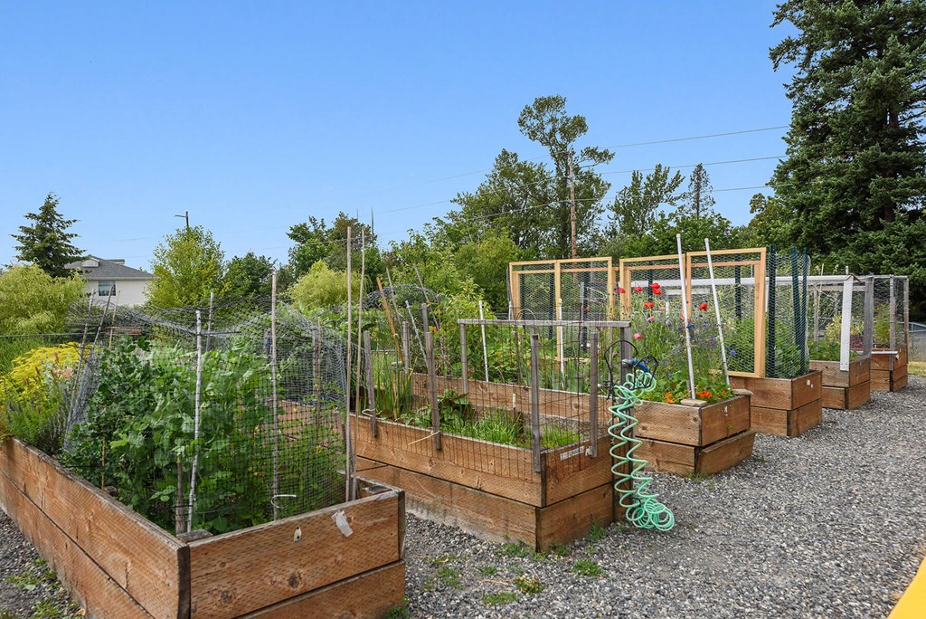 Community garden at Woodrose Apartments in Bellingham WA