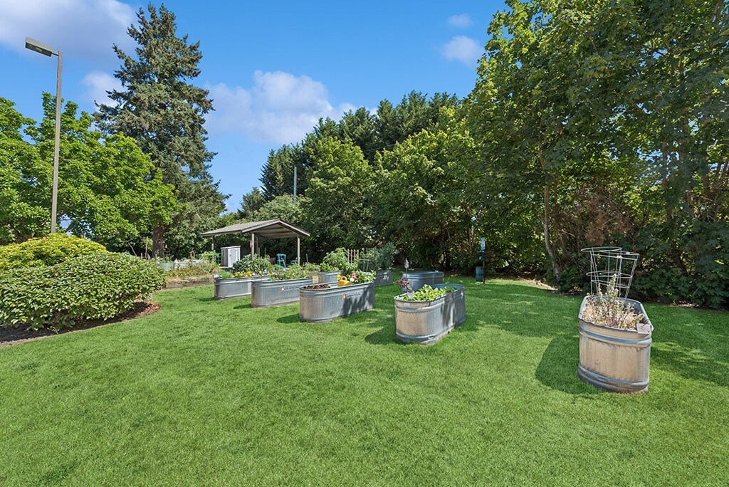Courtyard garden at Lakewood Meadows Apartments in Lakewood WA