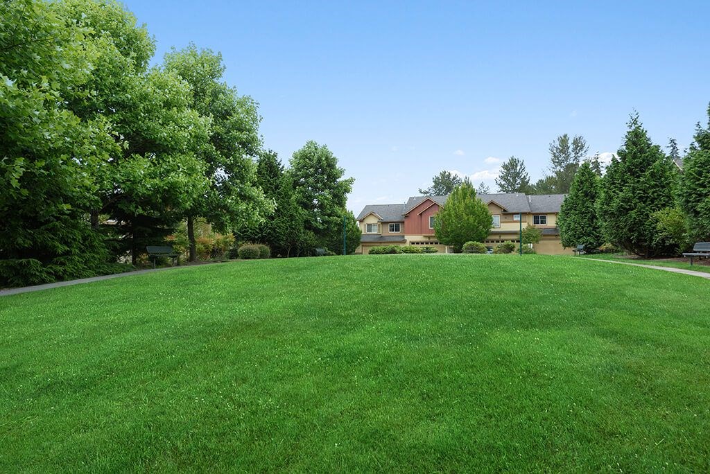 Outdoor green space at Alderwood Court in Lynnwood WA
