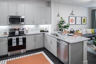 Kitchen dishwasher and sink at Jada Legacy Central Apartments in Plano TX - Photo Gallery