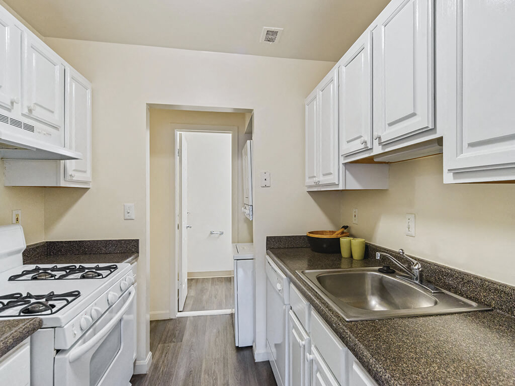 99 Roger Williams Green Studio-3 Beds Apartment for Rent - Photo Gallery 2