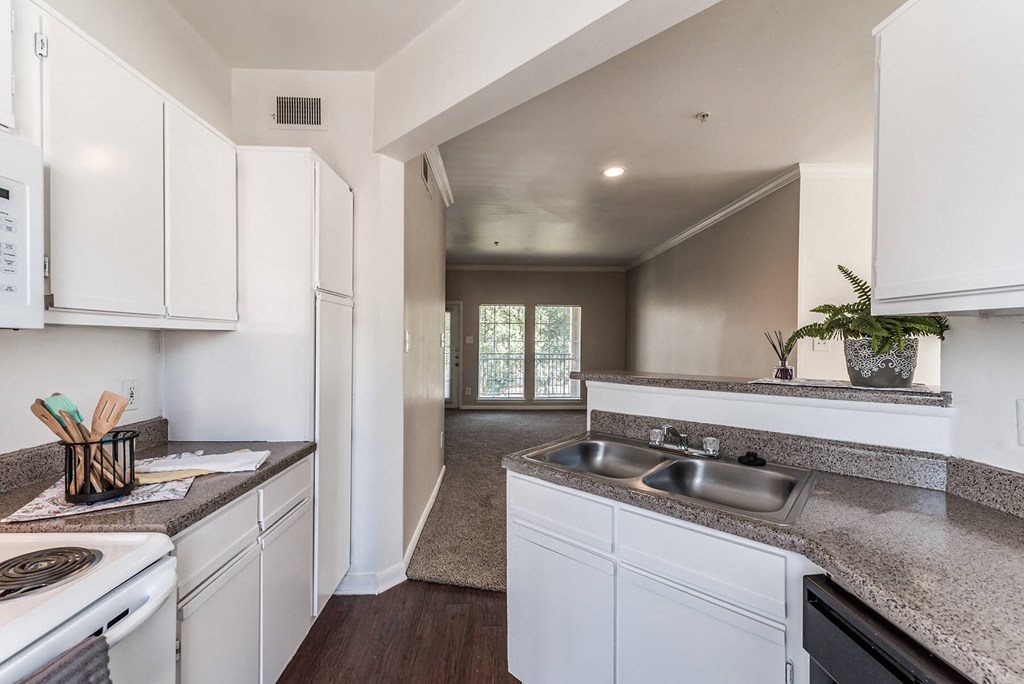 Kitchen countertops at Hollow Creek in Conroe TX