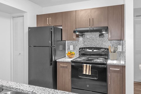 A black refrigerator and oven in a kitchen with wooden cabinets.